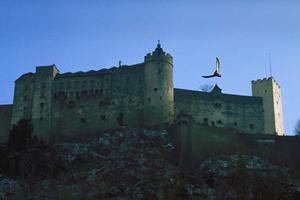 大分市のビジネスホテル【グッドイン大分】の魅力と概要?快適な滞在を実現する最適な選択肢