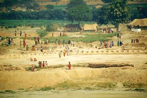 さまざまな船や部屋が選べる豪華客船