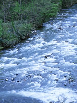 デザインポケットで食品サンプルが作れる