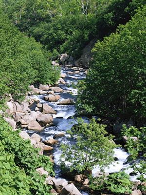福岡天神を満喫できる快適なビジネスホテル：東横INN福岡天神の魅力と詳細情報