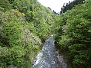 広島駅近くのビジネスホテル「東横INN広島駅新幹線口2」：快適な滞在と便利なアクセスを提供