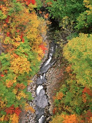東京都中央区のビジネスホテル【東横INN茅場町駅】の詳細ガイド