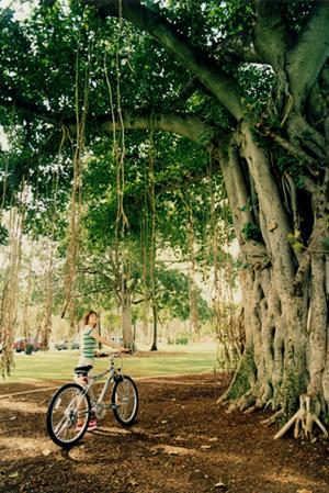 静岡市中心部の魅力的なシティホテルとレストラン：クロスロード｜中島屋グランドホテルの魅力と特徴
