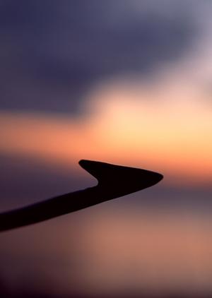 石垣島で星空観察！リフレッシュしながら新たな体験を楽しむ方法