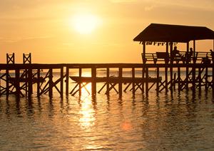 小豆島フェリーで快適で便利な旅を
