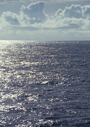 大阪のビジネスホテル「東横INN梅田中津1」の魅力と詳細情報