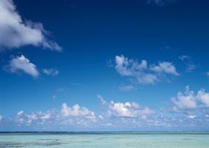 鳥取駅南口から徒歩2分！快適な滞在を提供する東横INN鳥取駅南口の魅力と詳細情報