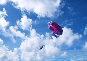 珍しい横浜のミーアキャットカフェ