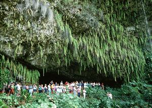 JR九州ホテル宮崎の魅力と利点について
