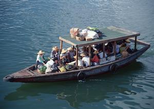 家族で楽しむ石垣島アクティビティ完全ガイド！子供も大満足の体験を厳選紹介