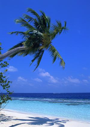 那須高原へのご旅行は貸し別荘がおすすめです