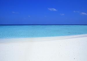 神奈川県横浜市に位置する東横INN新横浜駅前新館の魅力と詳細情報