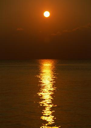 小豆島フェリーで行く瀬戸内海旅行