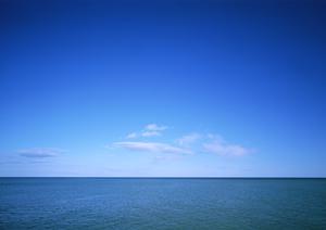 愛知県安城市にある東横INN三河安城駅新幹線南口1：快適なビジネスと観光拠点の紹介